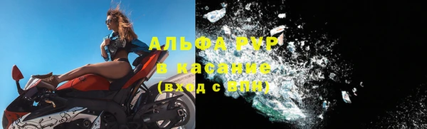 крисы Аркадак