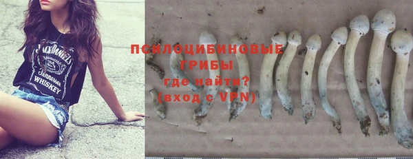 крисы Аркадак