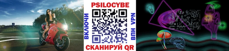 Галлюциногенные грибы MAGIC MUSHROOMS  как найти закладки  Подпорожье 